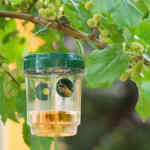 Garden of Eden Szolár rovarcsapda - felakasztható (11383) - muszakiwebbolt