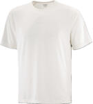 Salomon SHKOUT CORE SS TEE Férfi futópóló (2210001343)
