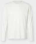 Salomon SHKOUT CORE LS TEE Férfi futófelső (2241000319)