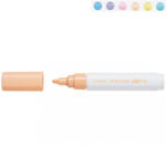 Pilot Marker 1.4 mm, PILOT Pintor M Pastel verde