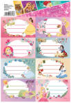 DISNEY Etichete scolare 40 buc/set, DISNEY Princess
