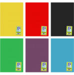 PAPERLAND Caiet scolar A4, 80 file, coperta plastic, PAPERLAND PP300 dictando