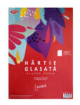 DACO Hartie glasata lucioasa 12 file/set DACO