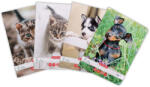 Herlitz Caiet A5 tip I, 36 file, HERLITZ Cats and Dogs