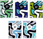 PAPERLAND Caiet A5, 48 file, PAPERLAND Select dictando