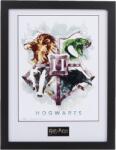 GB eye Afiș înrămat GB eye Movies: Harry Potter - Hogwarts (PFC3034)