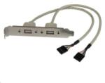 StarTech 2x USB hátlapi kivezetés (USBPLATE) (USBPLATE) - aqua