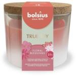 Bolsius Set 2 x Lumanare Parfumata cu Capac Pluta, Floral Blessings, 66/83 mm True Joy, Bolsius (GIL-2xLCA-TRU-LP66/83-56-TJ)