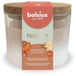 Bolsius Set 2 x Lumanare Parfumata cu Capac Pluta, Oriental Softness, 66/83 mm, True Joy, Bolsius (GIL-2xLCA-TRU-LP66/83-79-TJ)
