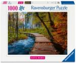  Puzzle 1000 db - Őszi faösvény (32289)