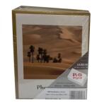 P&O 100 darabos fényképalbum - kisméretű - sivatagos (PP46100-8SIVATAG-PALMAFAS-SARGA)