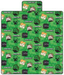 Carbotex Minecraft prémium polár takaró 140*200cm (MC240101-PB)