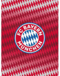 Carbotex FC Bayern München prémium polár takaró 130*170cm (BMFC211001-KOC)