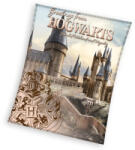Carbotex Harry Potter prémium polár takaró 130*160cm (HP235083-KOC)