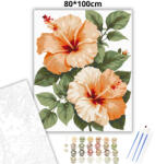  Barackos hibiszkuszok - számfestő készlet - 80×100 cm (Keretre feszítve)