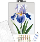  Derűs írisz virág - számfestő készlet - 80×100 cm (Keret nélkül)