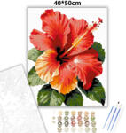  Trópusi hibiszkusz - számfestő készlet - 40×50 cm (Keretre feszítve)
