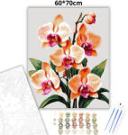  Letisztult orchidea virágzás - számfestő készlet - 60×70 cm (Keret nélkül)