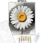  Friss margaréta - számfestő készlet - 40×50 cm (Keretre feszítve)