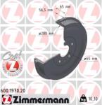 ZIMMERMANN Tambur frana ZIMMERMANN COAT Z 600.1970. 20 (600.1970.20)