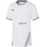 PUMA teamGOAL 23 Jr. póló-704160 04
