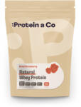 Protein a Co Natural Whey 1000 g