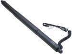 Asam Automotive Amortizor portbagaj ELECTRIC STG. ASAM 100165
