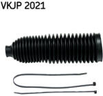 SKF Burduf Bieleta directie SKF VKJP 2021
