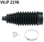SKF Burduf Bieleta directie SKF VKJP 2198