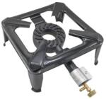 Venus DSH 495304