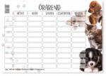 Órarend pd 165x117 mm School Girls/Boys/Animal 2026