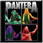 Pantera Band Photo Магнит (<![CDATA[PANTMAG03]]>)