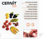Cernit Starter Kit Полимерна глина Fruit Miniatures (CEKIT005C)