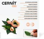 Cernit Starter Kit Полимерна глина Flower Brooch (<![CDATA[CEKIT006C]]>)