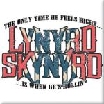 Lynyrd Skynyrd Only Time He Feels Right Магнит (LSMAG06)