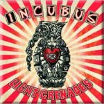Incubus Logo Магнит (<![CDATA[INCMAG01]]>)