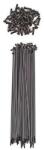 Schrack Patch panel Schrack 24 porturi 1U RAL7035 (SPOKE-14MM)
