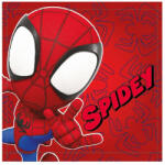 Mister Licence Spidey Red 30x30 cm FML365792