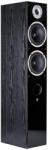 Wilson RAPTOR 7 Black (x2) Boxe audio
