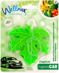 Wellnax autóillatosító Tropical 20g