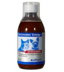 Alfavet RECONVALES ENERGY, Alfavet, 180ML - petmax