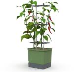Gusta Garden CHARLY CHILY Standard önitató virágcserép, sötétzöld (GG-XL103710)