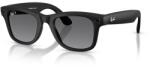 Ray-Ban Meta Wayfare S MT Polar Gr Gen2 (RW4012 601ST3 50-22) - vexio