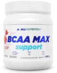 ALLNUTRITION BCAA Max Support, căpșună, 500 g, AllNutrition