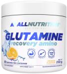 ALLNUTRITION Glutamine Recovery Amino, portocală, 250 g, AllNutrition