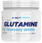 ALLNUTRITION Glutamine Recovery Amino, natural, 250 g, AllNutrition