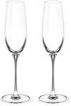 Wilmax England 2 db pezsgőspohár készlet, WILMAX, 260 ml, Üveg (WL-888048/2C)