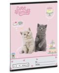 Ars Una Füzet vonalas ARS UNA A/5 32 lapos 21-32 4-8. osztályos Cute Animals-Tea Party (53625328)