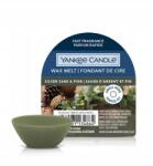 Yankee Candle Silver Sage & Pine illatviasz 22 g (1633253E)