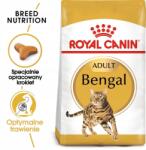Royal Canin Bengáli Felnőtt 2 kg